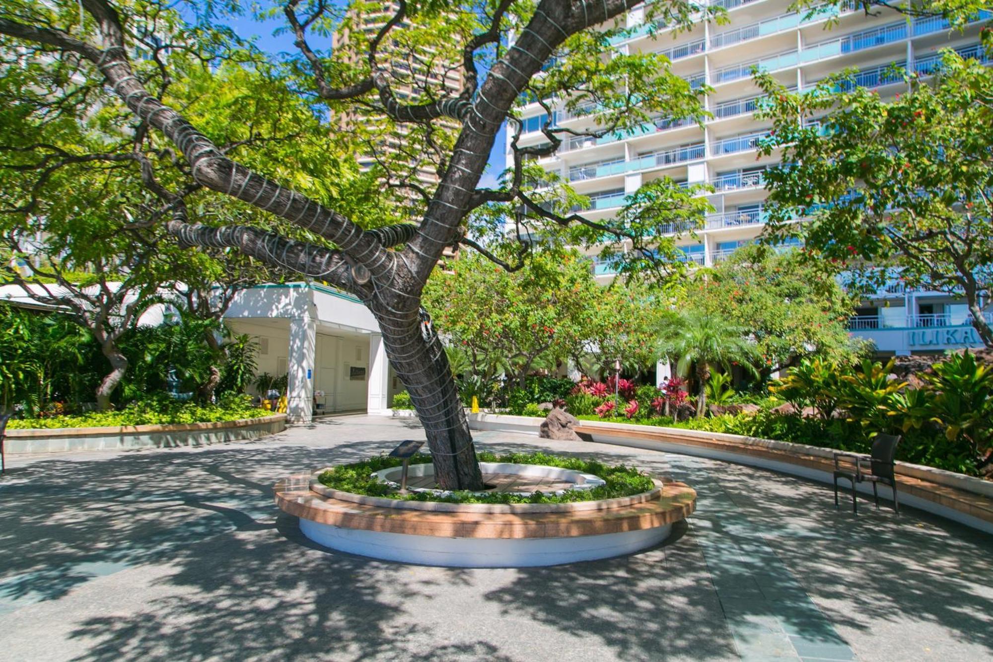 Ilikai Tower 1340 Lagoon View 1Br Honolulu Kültér fotó